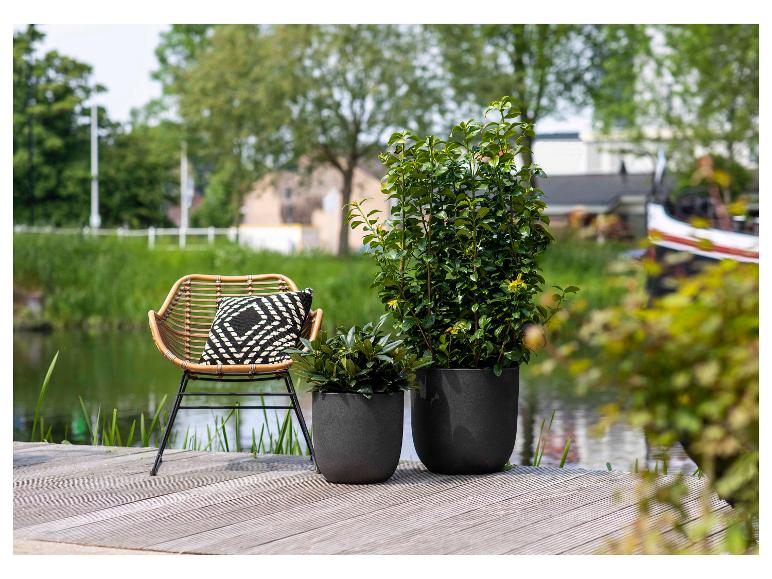 Chaise en osier avec coussin et plantes en pot sur une terrasse en bois au bord de l'eau.
