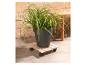 Plante en pot sur un dessous de pot roulant en bois.