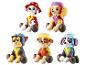 Six peluches de chiens de différentes couleurs et tenues, assises.