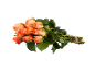Bouquet de roses oranges avec des tiges épineuses et des feuilles vertes sur fond noir.
