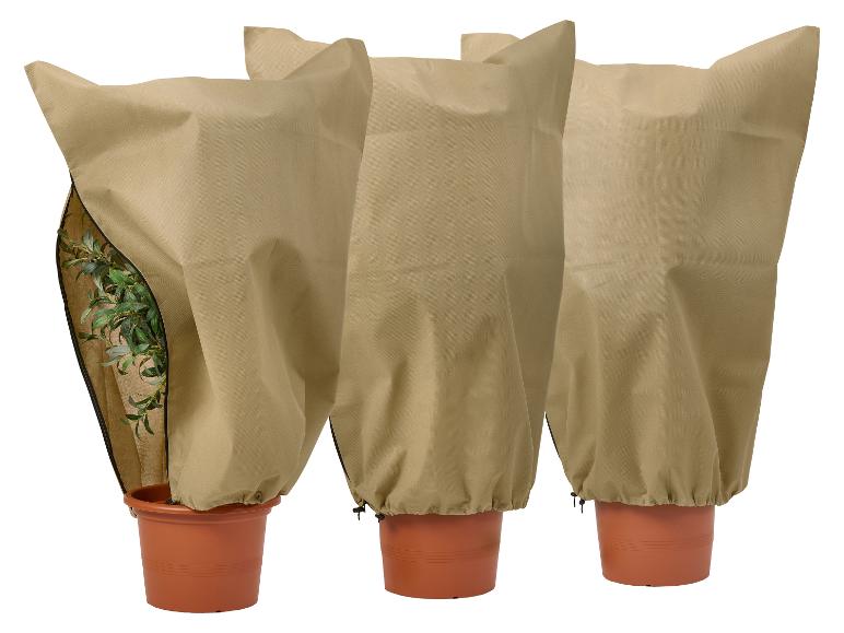 Trois housses de protection pour plantes en pot, une ouverte, montrant des feuilles vertes.
