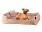 Un petit chien dans un lit pour chien beige avec un coussin.