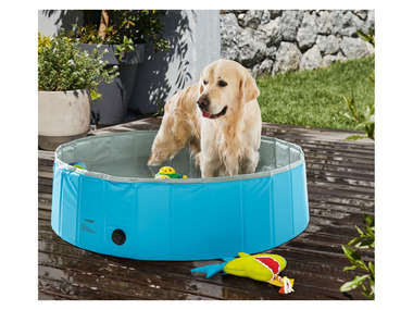 zoofari® Piscine pour chien