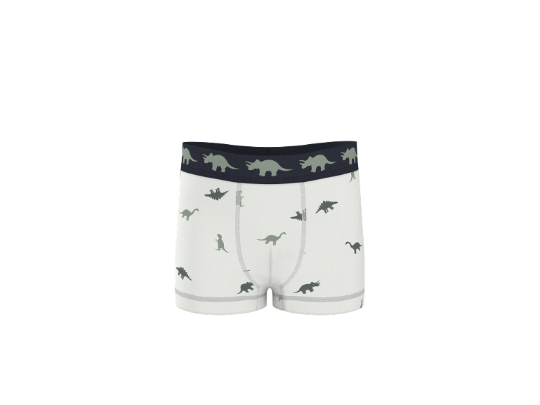 Boxers blancs pour enfants avec motifs de dinosaures verts et ceinture élastique foncée.