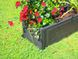 Une jardinière noire avec des fleurs rouges et des plantes vertes.