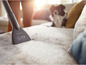 Un embout d'aspirateur Philips pour nettoyer les meubles et les poils d'animaux.