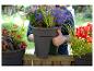 Femme tenant une jardinière avec des fleurs colorées dans un jardin.