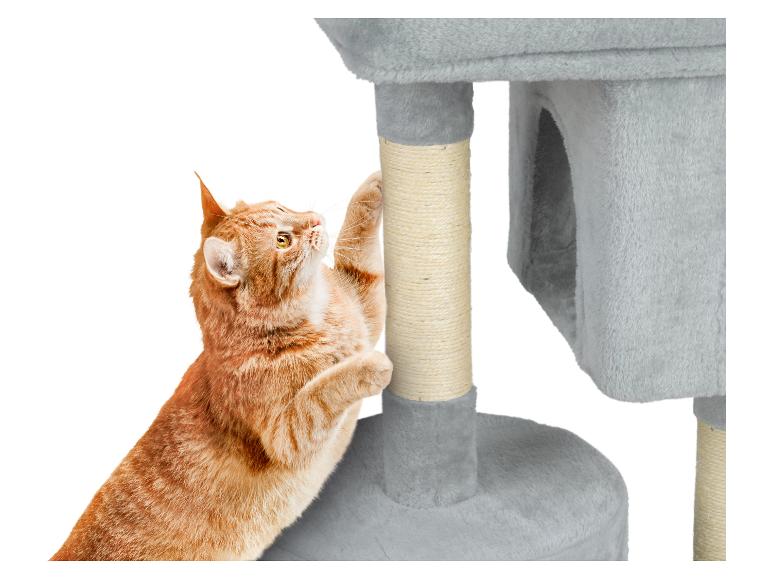 Arbre à chat