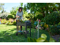 Femme arrosant des plantes dans un jardin avec un programmateur d'eau et un tuyau.