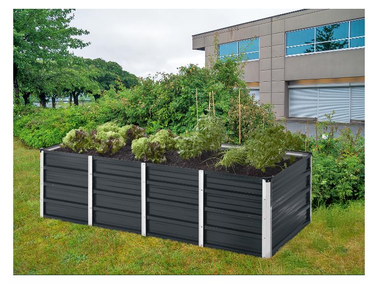 Carré potager surélevé avec salade et herbes aromatiques dans un jardin près d'un bâtiment.