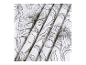 Tissu blanc avec imprimé floral noir et blanc.