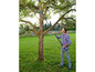 Un homme utilise des sécateurs télescopiques pour tailler des branches d'arbre.