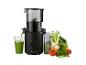 Extracteur de jus noir avec un verre de jus vert et des légumes frais.
