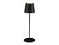 Lampe sur pied noire au design moderne.