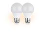 Deux ampoules LED blanches avec filetage.