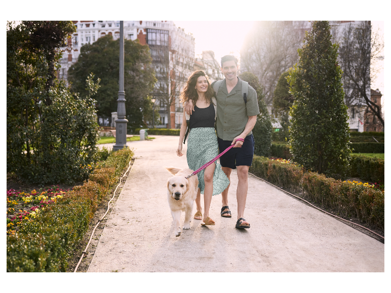 Un couple se promène dans un parc avec son chien par une journée ensoleillée.