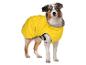 Chien en imperméable jaune avec patte sur le dos