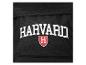 Sac à dos noir avec logo Harvard blanc et écusson rouge.