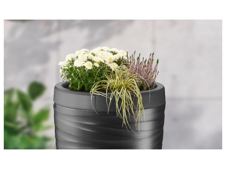 Jardinière gris foncé avec chrysanthèmes blancs, bruyère et herbe ornementale.