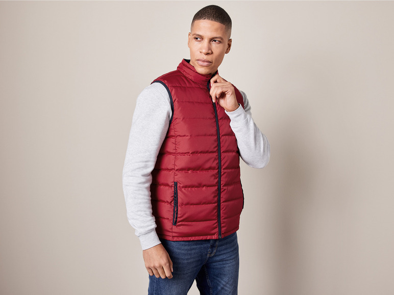 Aller en mode plein écran : LIVERGY® Veste sans manches réversible homme - Image 12