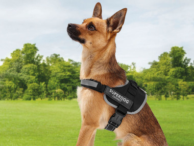 zoofari® Harnais pour chiens, avec autocollants fluorescents
