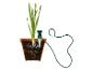Plantation en pot avec système d'arrosage automatique.