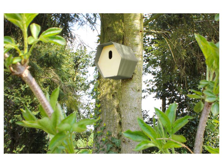 Nichoir moderne sur un tronc d'arbre, entouré d'une végétation luxuriante.