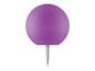 Punaise violette à tête ronde et pointe blanche.