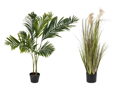 LIVARNO home Plante artificielle palmiers ou herbe de la pampa, 120 cm
