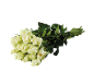 Bouquet de roses blanches avec des feuilles vertes.
