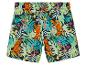 Shorts de bain tropicaux avec des tigres, des toucans et des serpents.