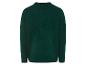 Un pull vert foncé à manches longues.