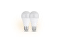 Deux ampoules LED blanches à visser.