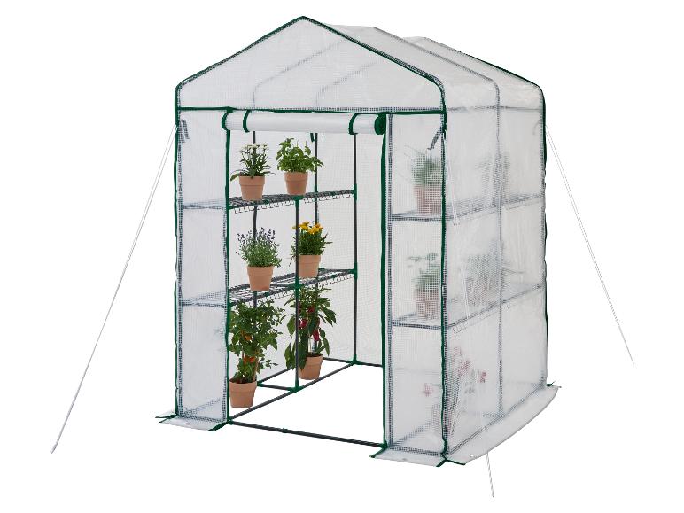 Serre portable avec plantes, couvercle transparent et bords verts.