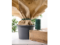 Plante en pot enveloppée dans un tissu protecteur, avec une bobine de ficelle verte.