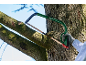 Scie de jardin avec un cadre vert et une poignée rouge coupant une branche d'arbre.