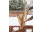 Mains enveloppant un jeune arbre de toile de jute pour la protection hivernale, sur sol enneigé.