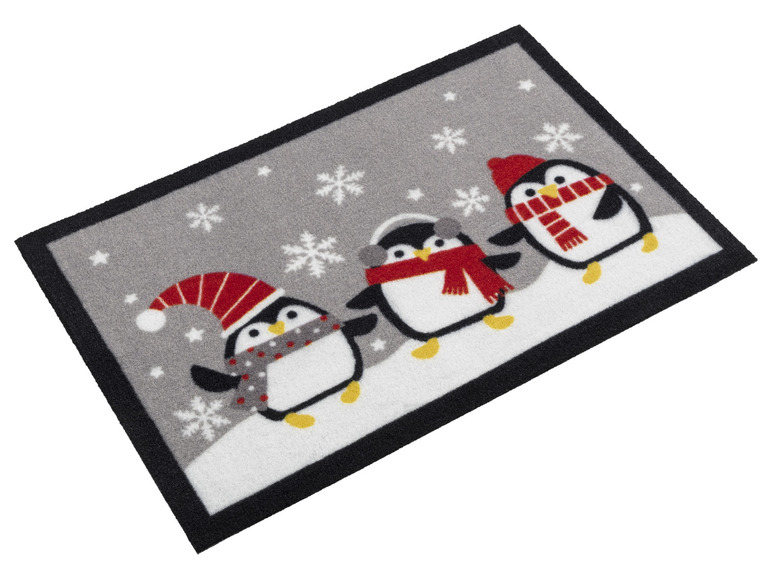 Aller en mode plein écran : LIVARNO home Tapis antipoussière, 40 x 60 cm - Image 3