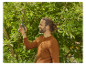 Un homme utilise des sécateurs Felco pour tailler un arbre.