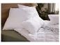 Oreiller et couette matelassés blancs sur un lit avec tête de lit en bois et drap vert.