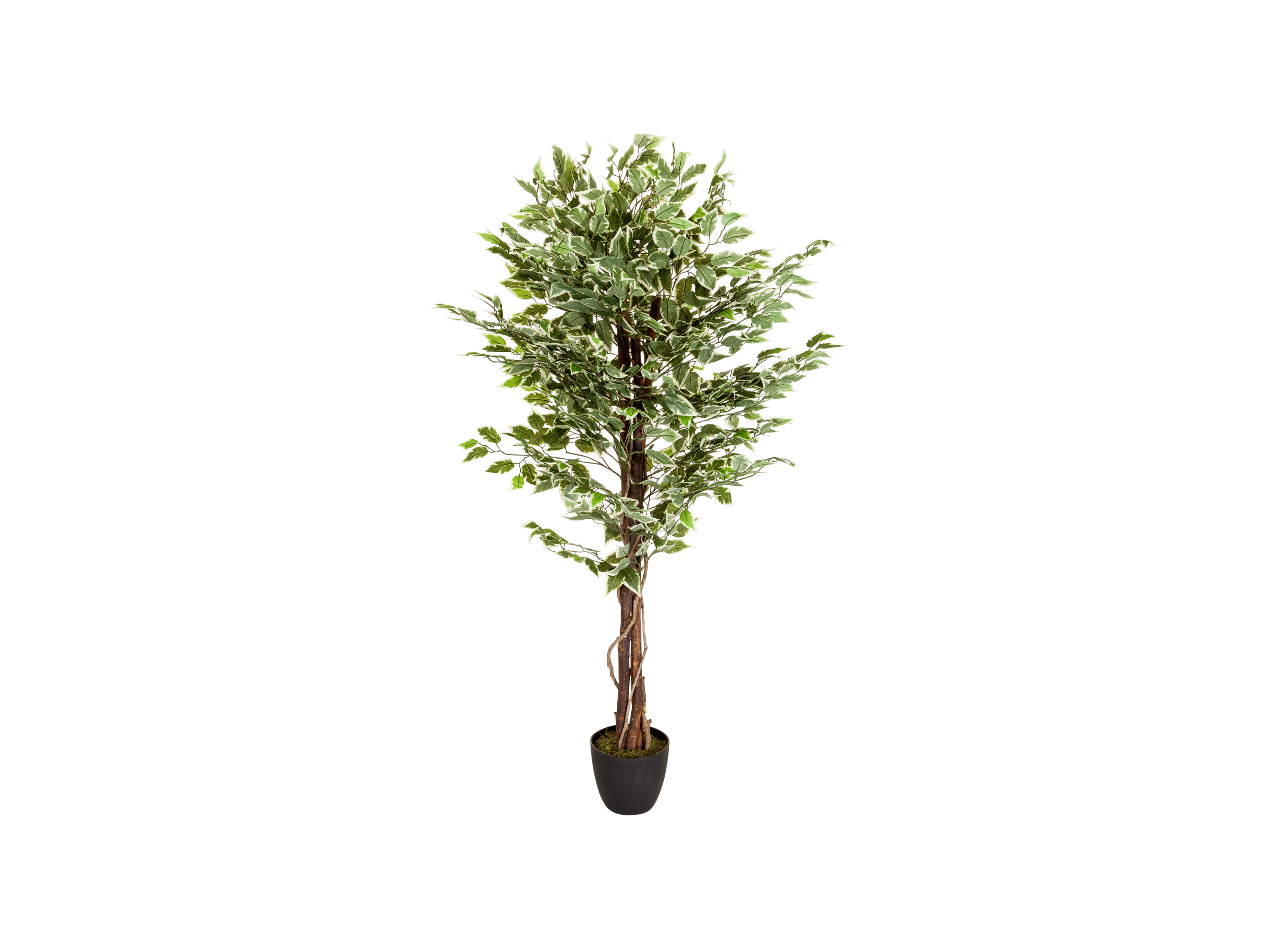 HJH OFFICE Plante artificielle ou Arbre artificiel FICUS