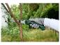 Une personne utilisant une scie Parkside pour couper une branche.