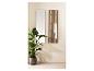 Miroir mural et porte-manteau en bois avec une grande plante verte en pot.