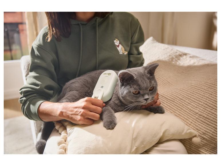 Femme brossant un chat avec une brosse blanche, le chat est gris, la femme porte un sweat à capuche vert.