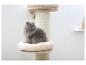 Chat gris à poils longs assis sur un arbre à chat beige avec un griffoir.