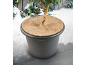 Pot de fleurs avec plante et tapis de coco sur fond de jardin enneigé.
