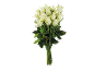 Bouquet de roses blanches avec des tiges vertes sur fond noir.