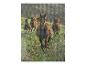 Diamant peinture chevaux au galop dans un champ fleuri.