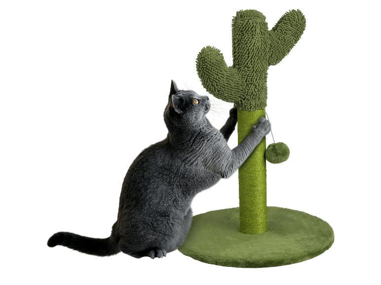 Un chat gris joue avec un arbre à chat cactus.