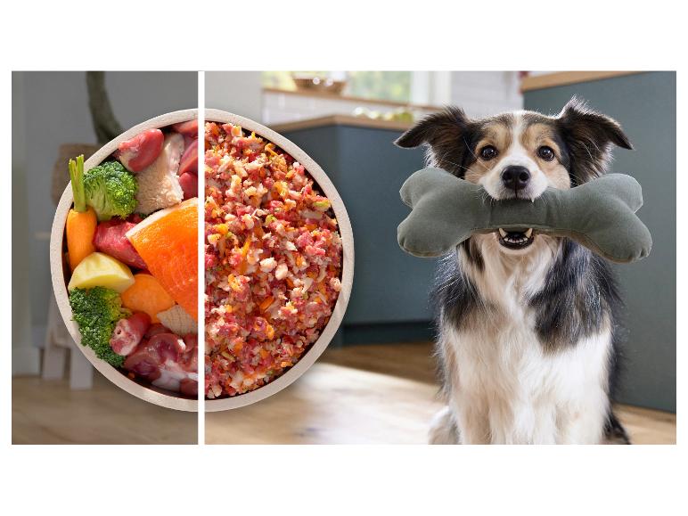Nourriture pour chien : ingrédients crus et mélange haché, avec un chien heureux tenant un jouet en os.
